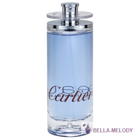 Cartier Eau De Cartier Vetiver Bleu 11