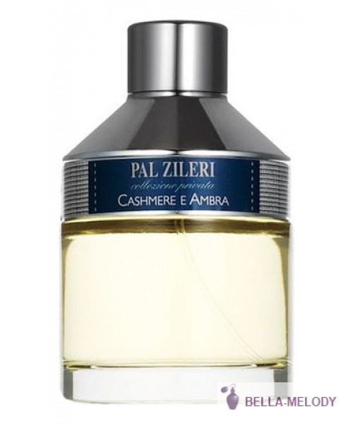 Pal Zileri Collezione Privata Cashmere E Ambra