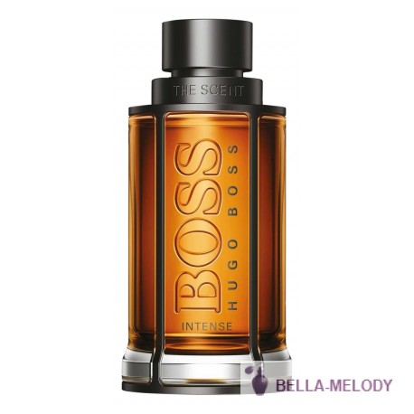 Hugo Boss Boss The Scent Intense 11