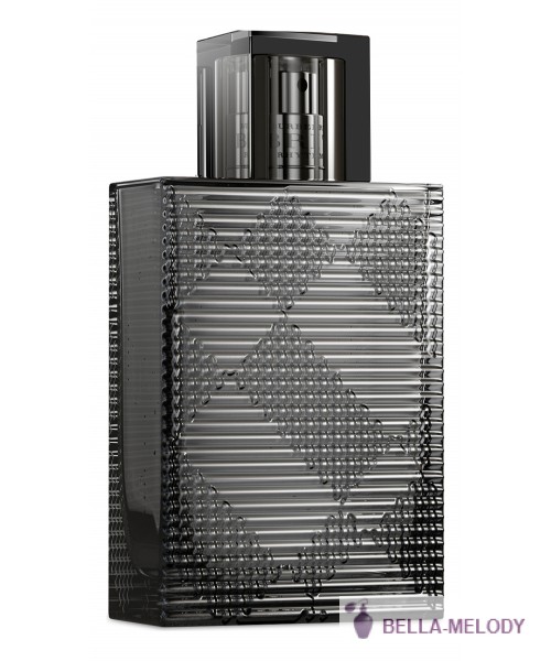 Burberry Brit Rhythm