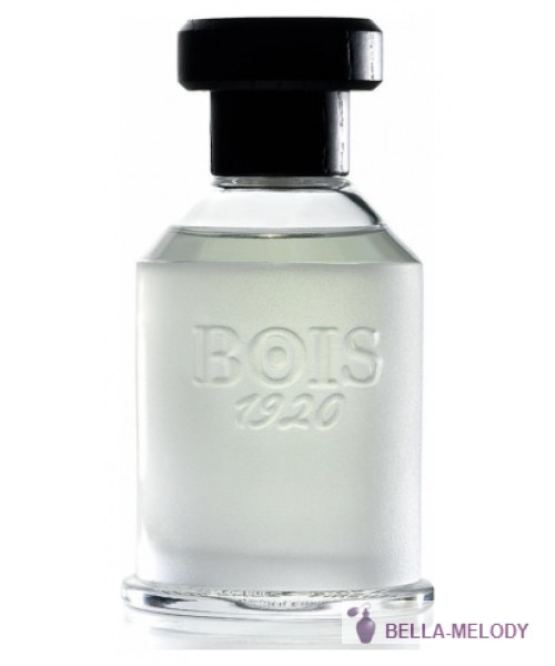 Bois 1920 Ancora Amore