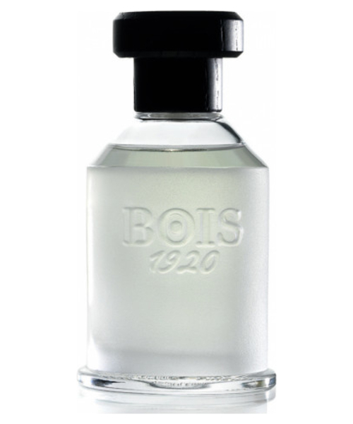 Bois 1920 Ancora Amore