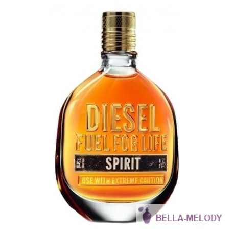 Diesel Fuel For Life Spirit 11