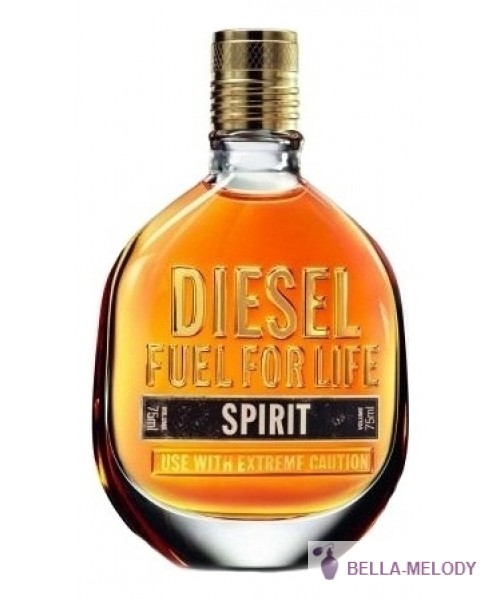 Diesel Fuel For Life Spirit