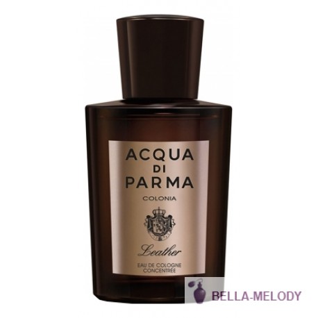 Acqua Di Parma Colonia Leather 11