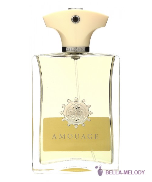 Amouage Silver For Men