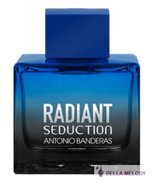 Antonio Banderas Radiant Seduction In Black