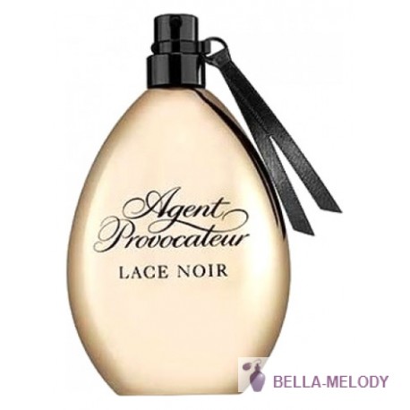 Agent Provocateur Lace Noir 11