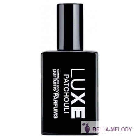 Comme des Garcons Series Luxe Patchouli 11