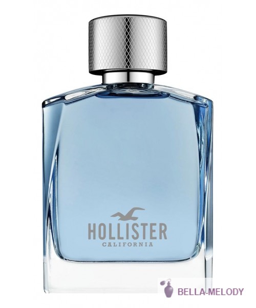 Hollister Wave For Him