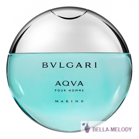 Bvlgari Aqva Pour Homme Marine 11