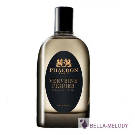 Phaedon Verveine Figuier 11