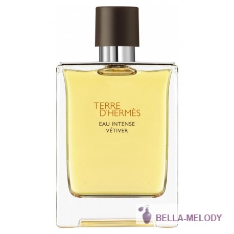 Hermes Terre D'Hermes Eau Intense Vetiver 11