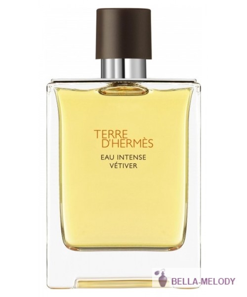 Hermes Terre D'Hermes Eau Intense Vetiver