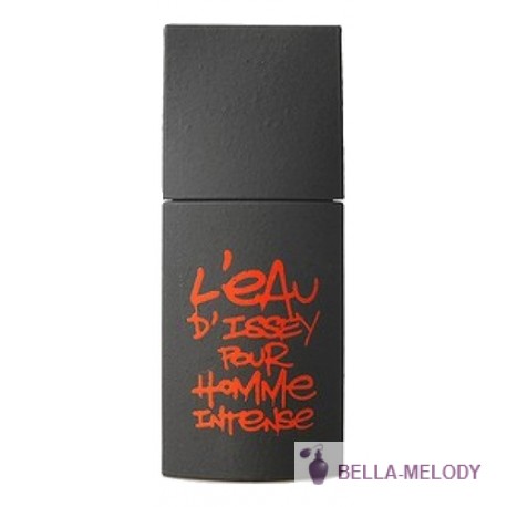 Issey Miyake L'Eau D'Issey Pour Homme Intense Beton 11