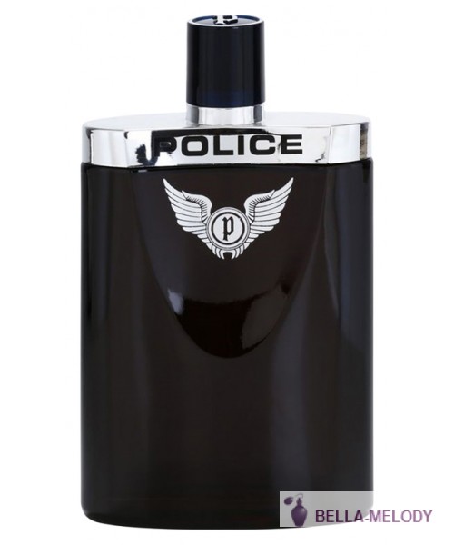 Police Silver Wings