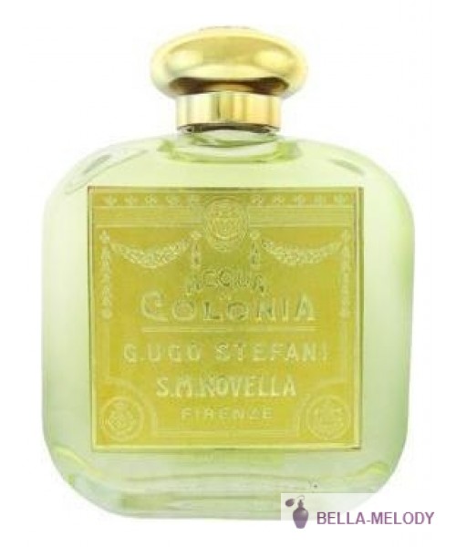 Santa Maria Novella Violette