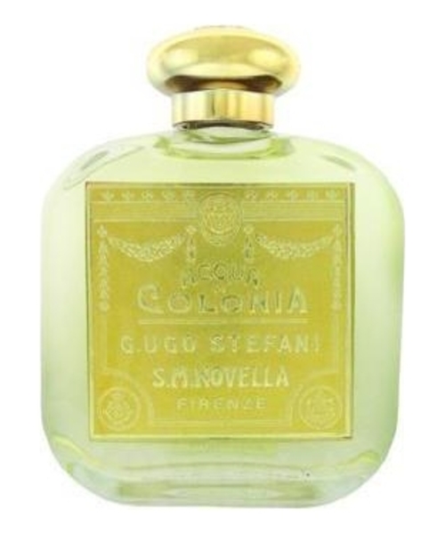 Santa Maria Novella Violette