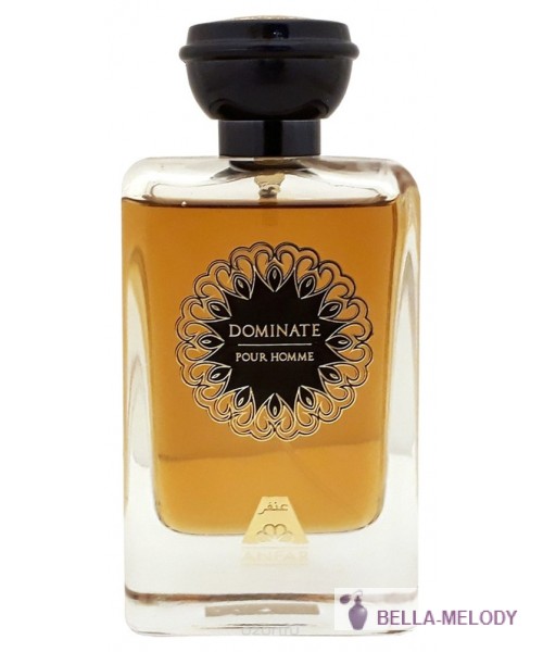 Oudh Al Anfar Dominate Pour Homme