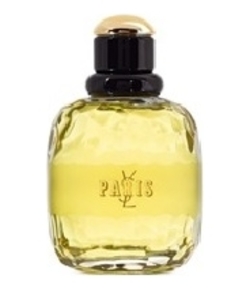 YSL Paris