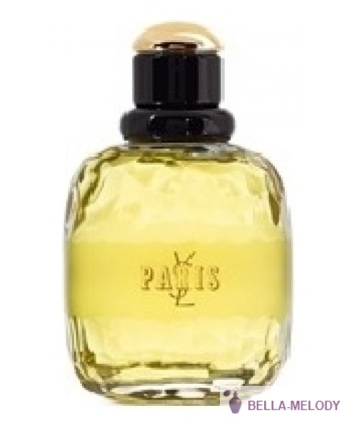 YSL Paris