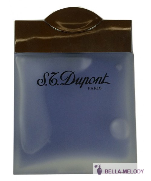 S.T. Dupont Eau Active Pour Homme