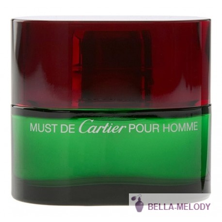 Cartier Must Cartier Pour Homme Essence 11