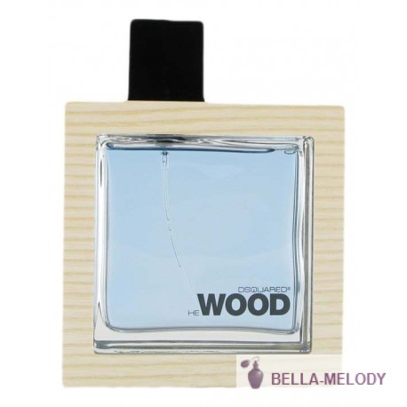 Dsquared2 He Ocean Wet Wood Men 11