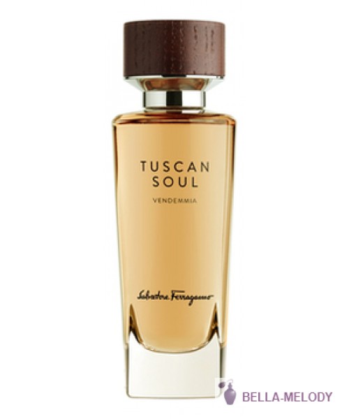 Salvatore Ferragamo Tuscan Soul Vendemmia