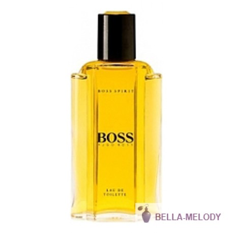 Hugo Boss Boss Spirit 11