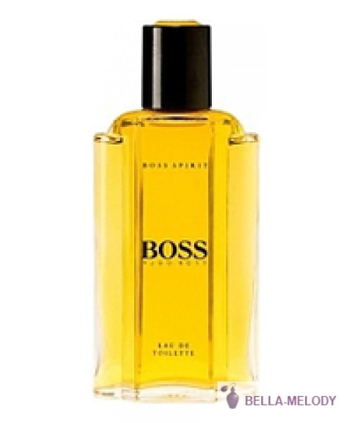 Hugo Boss Boss Spirit