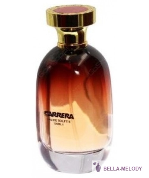 Carrera Speed Extreme Oud