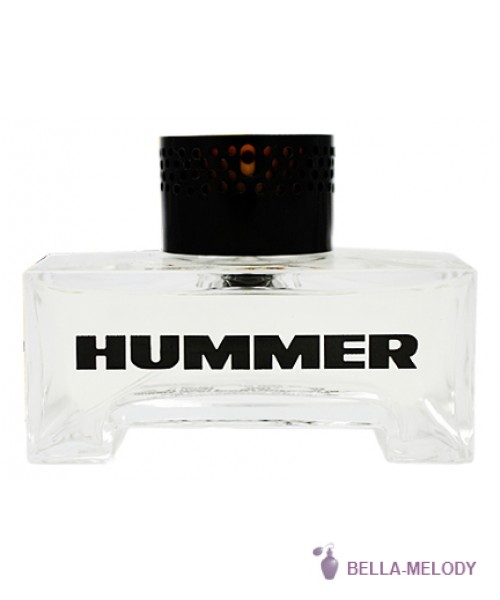 Hummer