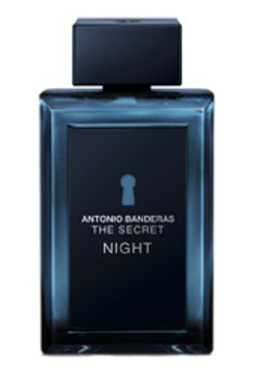 Antonio Banderas The Secret Night