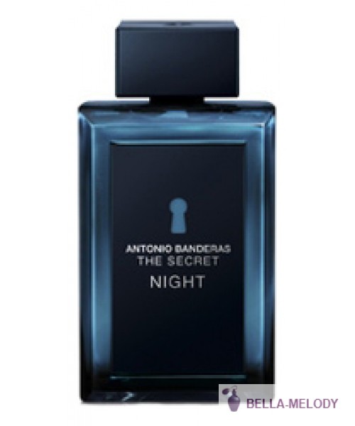 Antonio Banderas The Secret Night