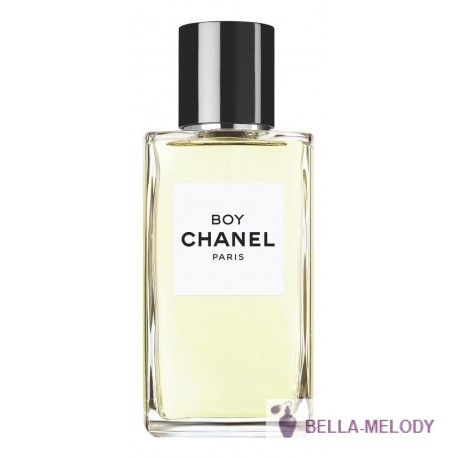 Chanel Les Exclusifs De Chanel Boy 11