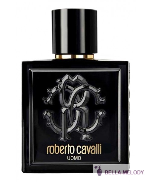 Roberto Cavalli Uomo