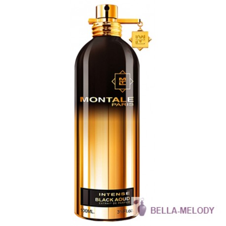 Montale Black Aoud Intense 11