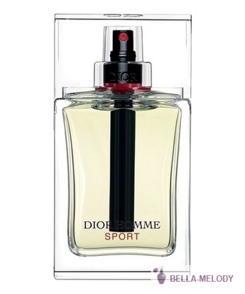 Christian Dior Homme Sport 2008