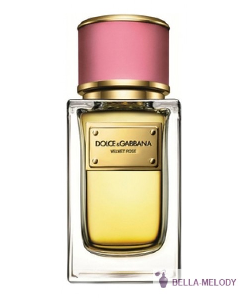 Dolce Gabbana (D&G) Velvet Rose