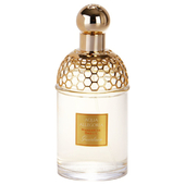 Guerlain Aqua Allegoria Mandarine Basilic