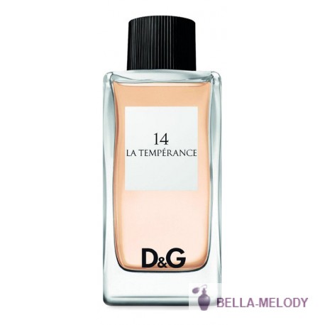 Dolce Gabbana (D&G) 14 La Temperance 11