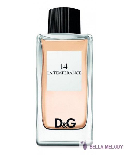 Dolce Gabbana (D&G) 14 La Temperance