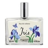 Fragonard Iris