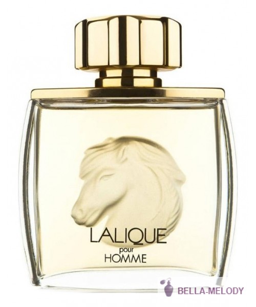 Lalique Pour Homme Equus