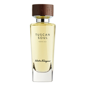 Salvatore Ferragamo Tuscan Soul Punta Ala