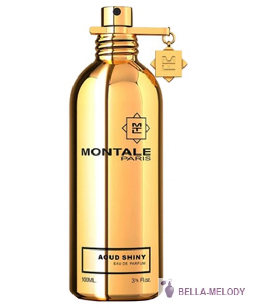 Montale Aoud Shiny