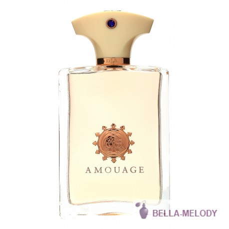 Amouage Dia For Men 11