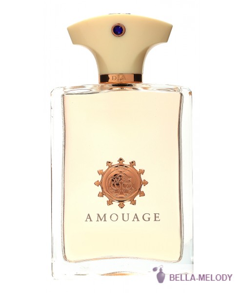 Amouage Dia For Men