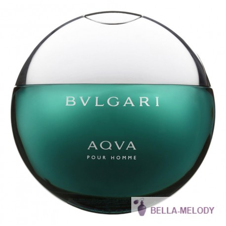 Bvlgari Aqva Pour Homme 11